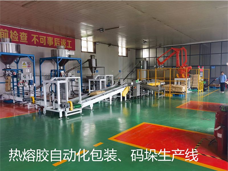 熱熔膠自動(dòng)化包裝、碼垛生產(chǎn)線